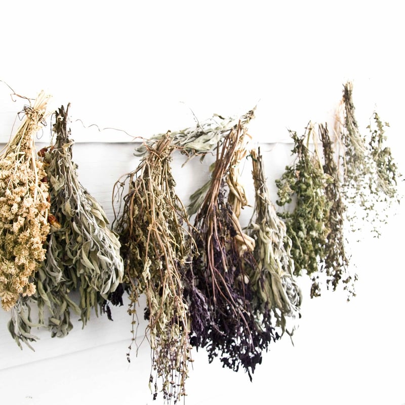 Herbs in pots on windowsill